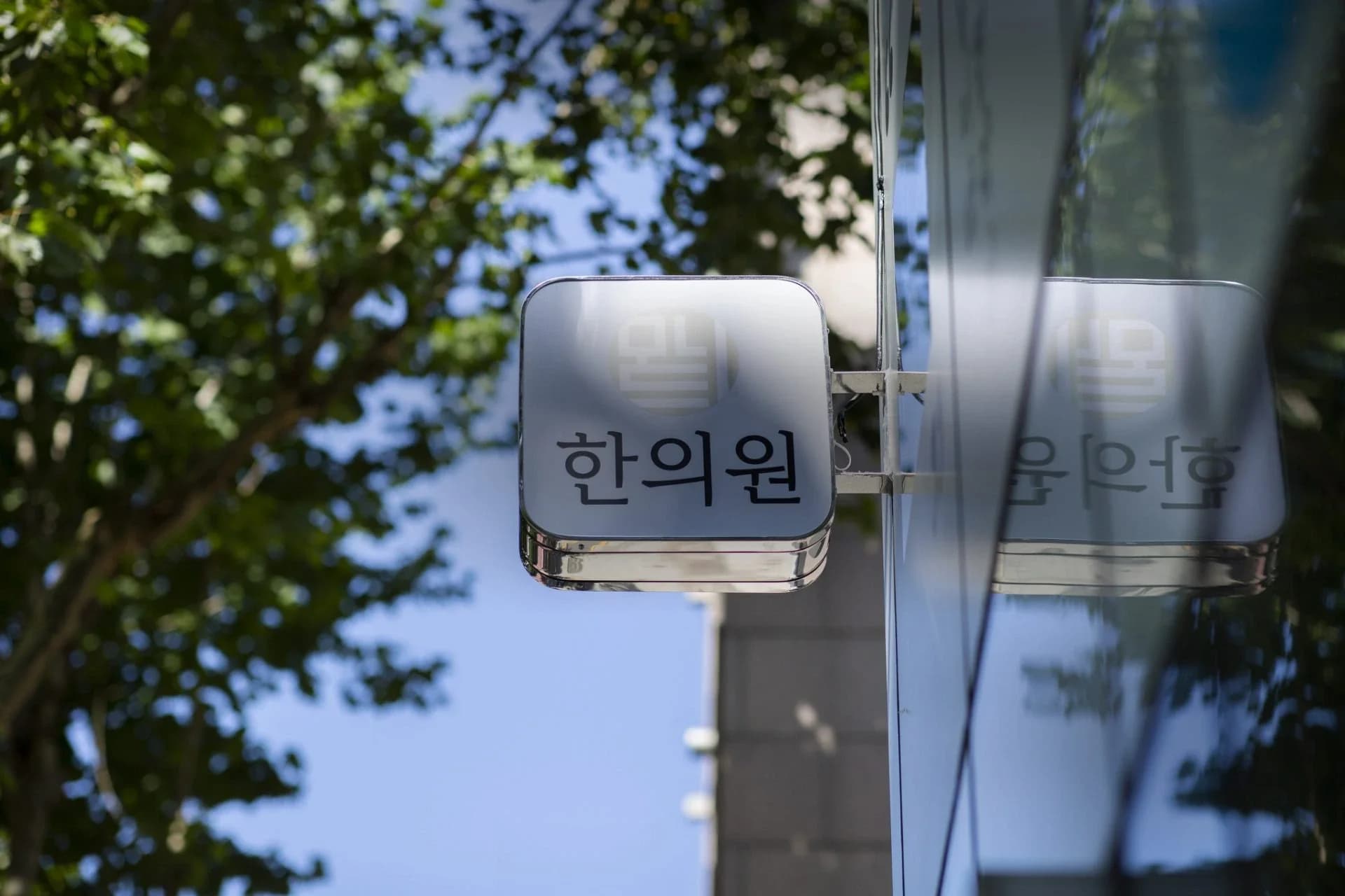 가로수 사이로 보이는 모드니한의원 외부 간판